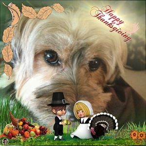 Meet your Posher, Barb